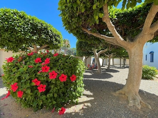 Apartment Roquetas de Mar Außenaufnahme 5