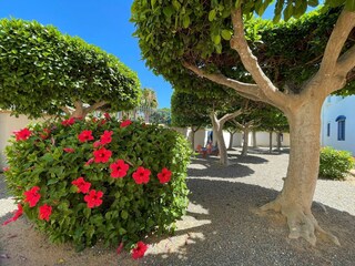 Casa per le vacanze Roquetas de Mar Registrazione all'aperto 5