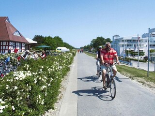 Maison de vacances Zingst Environnement 16