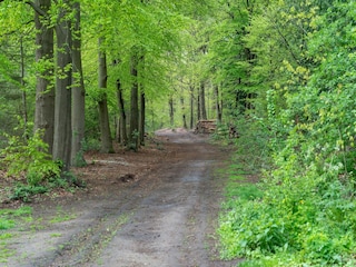 Ferienhaus Voorthuizen Umgebung 30