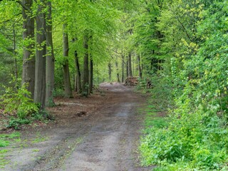 Maison de vacances Voorthuizen Environnement 30