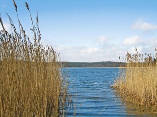 Vakantiehuis Neukloster Omgeving 16