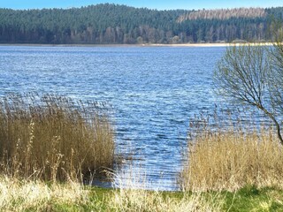 Casa de vacaciones Neukloster  14