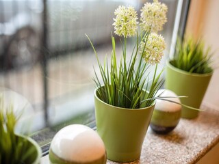 Appartement Southwark  39