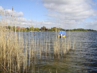 Vakantiehuis Zarrentin Omgeving 43