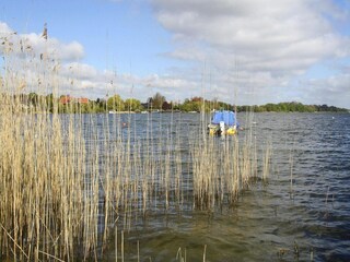 Vakantiehuis Zarrentin Omgeving 16