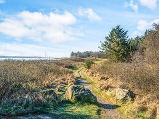 Ferienhaus Thyholm  16