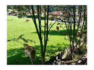 Casale Kleinarl Registrazione all'aperto 21