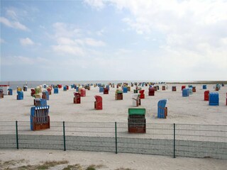 Vakantiehuis Neßmersiel Omgeving 14