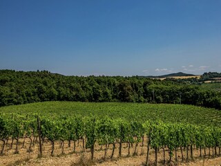 Villa Trequanda Buitenaudio-opname 3