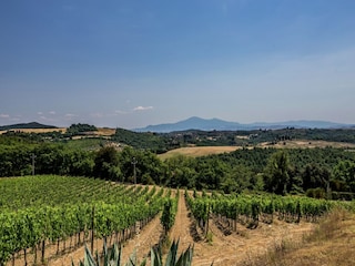 Villa Trequanda Buitenaudio-opname 6