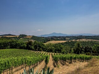 Villa Trequanda Buitenaudio-opname 8