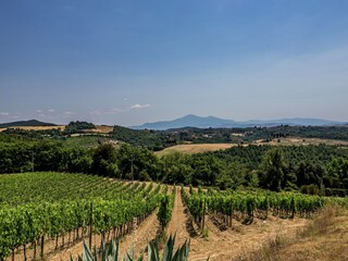 Villa Trequanda Outdoor Recording 7