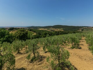 Villa Trequanda Environnement 21
