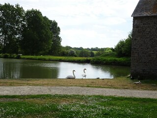 Ferienhaus Portbail Außenaufnahme 5