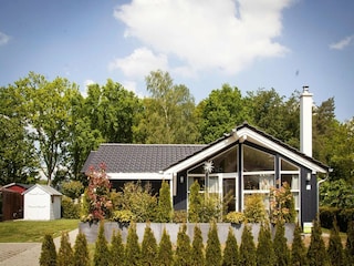 Holiday house Dümmer (Mecklenburg) Outdoor Recording 3