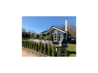 Ferienhaus Dümmer (Mecklenburg) Außenaufnahme 5