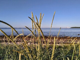 Vakantiehuis Rønde  10