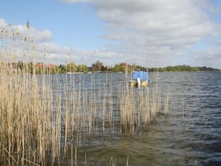 Maison de vacances Zarrentin Environnement 18