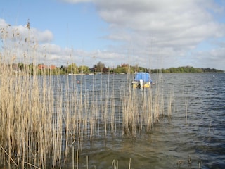 Vakantiehuis Zarrentin Omgeving 19