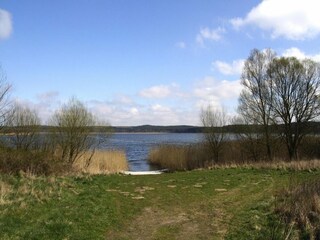 Vakantiehuis Neukloster Omgeving 14