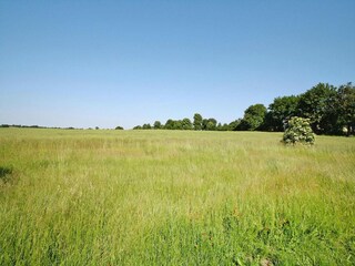 Appartement Thurow Environnement 12