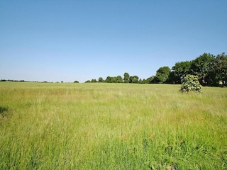 Apartment Thurow Environment 13