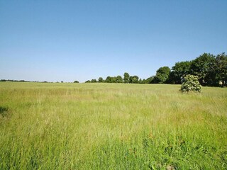 Appartement Thurow Environnement 13
