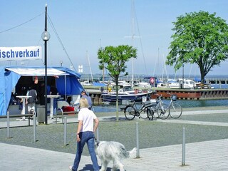 Apartamento Ribnitz-Damgarten Entorno 10