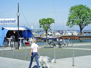 Apartment Ribnitz-Damgarten Environment 10