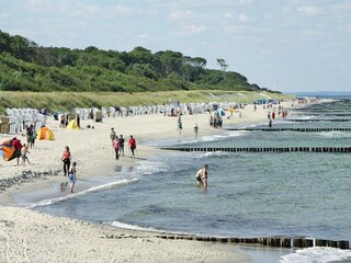 Appartement Ribnitz-Damgarten Omgeving 11