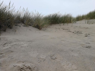 Ferienhaus Slettestrand  18
