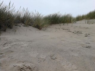 Ferienhaus Slettestrand  44