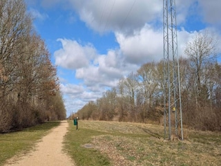Ferienhaus Oksbøl  23