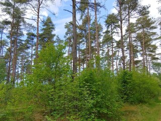 Vakantiehuis Oksbøl  31