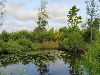 Vakantiehuis Oksbøl  38