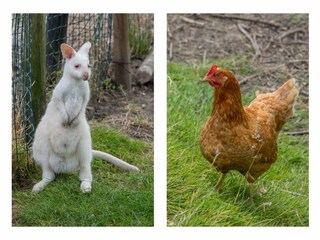 Casa per le vacanze Vrouwenpolder  36