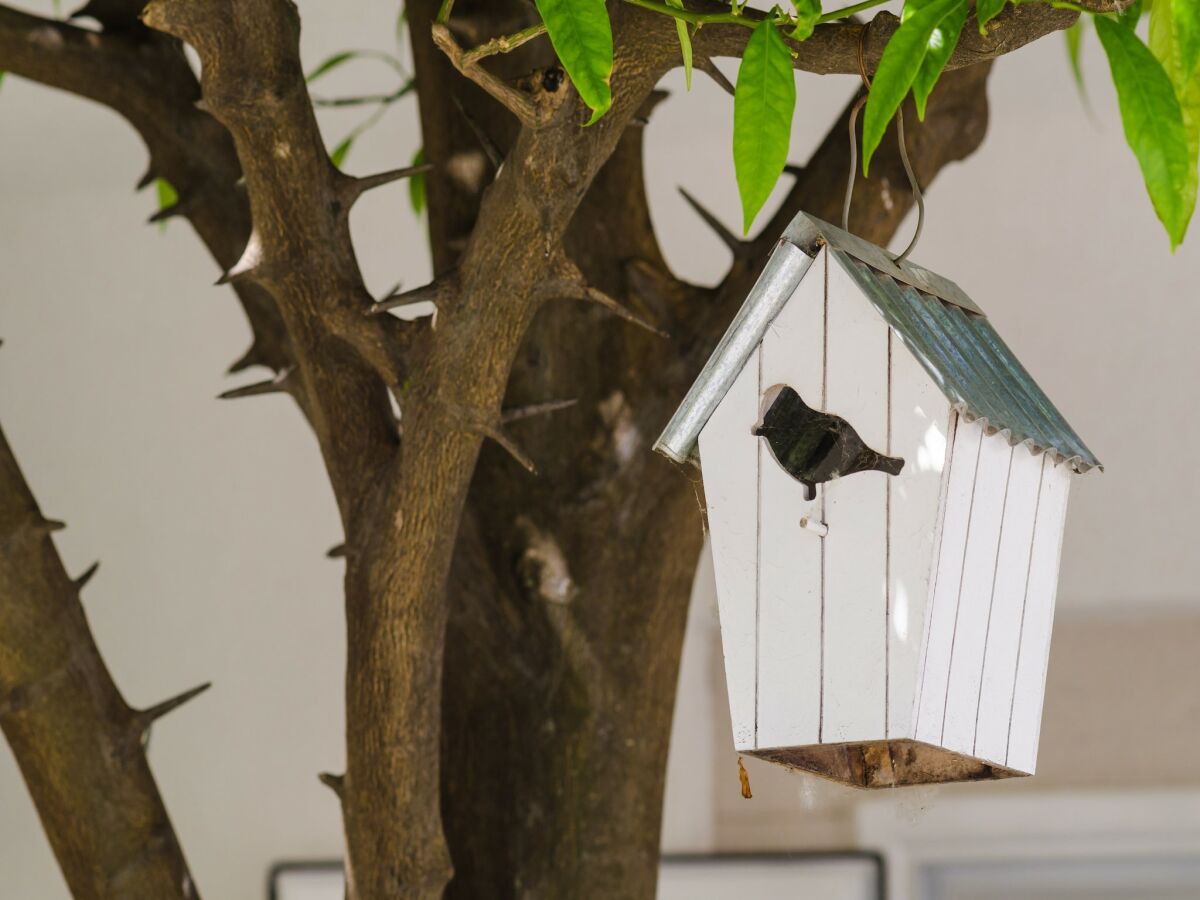 Apartamento Kupari Grabación al aire libre 1