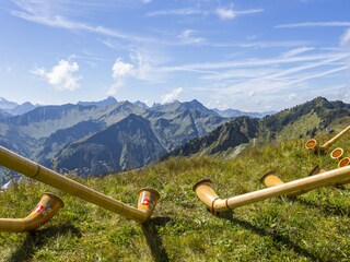 Apartamento de vacaciones Oberstdorf Entorno 17