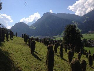 Appartamento per vacanze Ramsau im Zillertal Ambiente 29