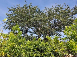 Appartamento Santa Venerina Ambiente 29