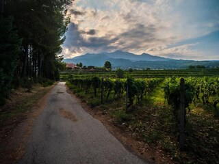 Appartamento Santa Venerina Ambiente 35