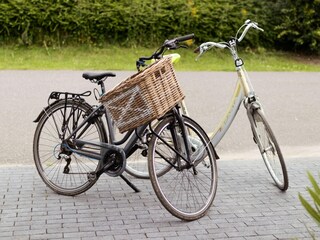 Villa Biddinghuizen  40