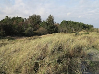 Ferienhaus Bratten Strand  21