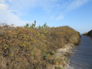 Ferienhaus Bratten Strand  22
