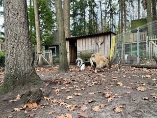 Casa de vacaciones Lochem Entorno 32