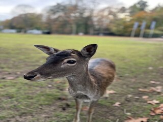 Holiday house Lochem Environment 34