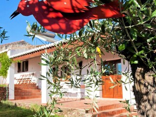 Casa de vacaciones Mértola Grabación al aire libre 7