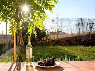 Casa de vacaciones Mértola Entorno 22