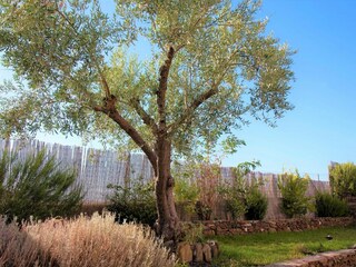 Maison de vacances Mértola Environnement 23